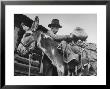 78 Year Old Prospector Pete Del Dosso Prospecting In Red River Canyon by Cornell Capa Limited Edition Print