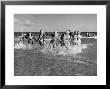 The Beachcomber Girls Who Work Night Clubs Are Hanging Out At Beach In The Daytime by Allan Grant Limited Edition Print