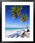 Palm Tree, White Sand Beach And Indian Ocean, Jambiani, Island Of Zanzibar, Tanzania, East Africa by Lee Frost Limited Edition Pricing Art Print