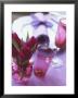 Red Tulips In Small Vase Beside Place Setting by Michael Paul Limited Edition Pricing Art Print