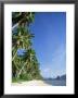 Beach Scene At El Nido, Bascuit Bay, Palawan, Philippines by Steve Vidler Limited Edition Print