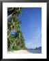 Beach Scene At El Nido, Bascuit Bay, Palawan, Philippines by Steve Vidler Limited Edition Print