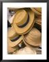 Straw Hats At Port Lucaya Marketplace, Grand Bahama Island, Caribbean by Walter Bibikow Limited Edition Pricing Art Print