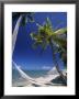 Hammock On Beach, Danarau, Viti Levu, Fiji by Neil Farrin Limited Edition Pricing Art Print