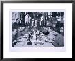 Captain Scott's Last Birthday Dinner June 6Th 1911, From Scott's Last Expedition by Herbert Ponting Limited Edition Print