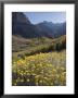 Fall Colors At Mcgee Creek Near Mammoth Lakes, California by Rich Reid Limited Edition Print