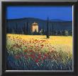 Tuscan Poppies Ii by David Short Limited Edition Print