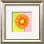 Orange Daisy by Dona Turner Limited Edition Pricing Art Print
