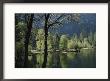 Scenic View Of The Merced River In Spring by Marc Moritsch Limited Edition Print