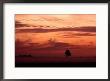 Dawn Mist Hangs Over Lake Kissimmee State Park by Raymond Gehman Limited Edition Print