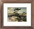 A. J. Casson Pricing Limited Edition Prints