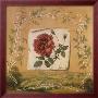 Renaissance Rose Ii by Richard Lane Limited Edition Pricing Art Print