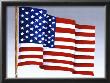 American Flag by Chariklia Zarris Limited Edition Print