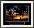 Relax - Palm Trees by Craig Tuttle Limited Edition Print