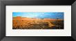 Namibia Stones by Chris Simpson Limited Edition Print