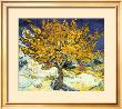 The Mulberry Tree, 1889 by Vincent Van Gogh Limited Edition Pricing Art Print
