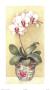 Exotic Orchids I by Jean Scott Tonge Limited Edition Print