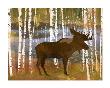 Moose by Lynnea Washburn Limited Edition Pricing Art Print