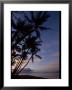 Molokai One Alii Park, Kalohi Channel Beyond Palm by Jeff Greenberg Limited Edition Print