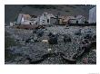 Seals Play On The Beach Of An Abandoned Whaling Station At Stromness Bay by Maria Stenzel Limited Edition Print