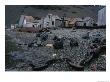 Seals Play On The Beach Of An Abandoned Whaling Station At Stromness Bay by Maria Stenzel Limited Edition Pricing Art Print