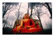 Statue Of Buddha On Svayambhu Hill In Kathmandu Valley, Swayambhunath, Bagmati, Nepal by Bill Wassman Limited Edition Print