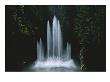 Ross Fountain Dancing In Front Of Lush Trees In Butchart Gardens by Todd Gipstein Limited Edition Print