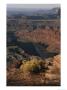 A View From Dead Horse Point In Canyonlands National Park by Bobby Model Limited Edition Print