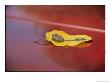 A Frog Rests On A Yellow Leaf That Sits On A Red Car by Vlad Kharitonov Limited Edition Print