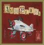 America Airplane by Katherine & Elizabeth Pope Limited Edition Print