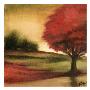 Harvest Maple I by Ethan Harper Limited Edition Pricing Art Print