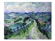 The Roman Road, Lavaur by Josephine Trotter Limited Edition Print