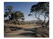 Country Road, Fleurieu Peninsula, Australia by Walter Bibikow Limited Edition Print