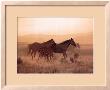 Desert Run by Robert Dawson Limited Edition Print