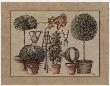 L'art De Former Les Topiaires, La Vigne by Laurence David Limited Edition Print