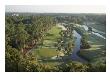 Tpc Sawgrass Stadium Course, Hole 6 by Stephen Szurlej Limited Edition Print