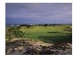 Pacific Grove Municipal Golf Course by Stephen Szurlej Limited Edition Print