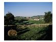 Hay Bale, The Olde Farm Golf Club by Stephen Szurlej Limited Edition Pricing Art Print