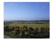 St. Andrews Golf Club Old Course by Stephen Szurlej Limited Edition Print