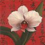 Chinese Orchid On Red by T. C. Chiu Limited Edition Print