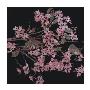 Blossom Branch, 2005 by Amiryani Limited Edition Print