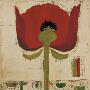 Flower Anatomy: Poppies by Rose Richter-Armgart Limited Edition Print