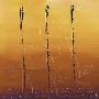 Universal Vibration Vi by Carole Becam Limited Edition Print