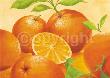 Orange Orange by Susanne Bach Limited Edition Print