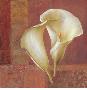 Calla Expression by Fabrice De Villeneuve Limited Edition Pricing Art Print