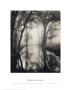 Backwater, Nature Conservancy, Cosumnes River Preserve, 1998 by Roman Loranc Limited Edition Print