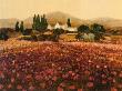 Evening Light, Languedoc by Hazel Barker Limited Edition Pricing Art Print