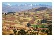 Farmland In The Sacred Valley, Cusco, Peru by Keren Su Limited Edition Pricing Art Print