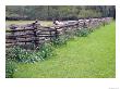 Splitrail Fenceline, Magnolia Plantation And Gardens, Charleston, South Carolina, Usa by Julie Eggers Limited Edition Print