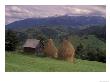 Rural Landscape Of Poiana Marukei Region, Romania by Gavriel Jecan Limited Edition Pricing Art Print